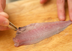 Aji1