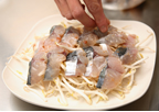 Sawara_renji3