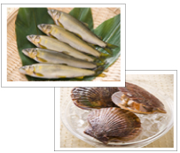 鮎・帆立 鮎・帆立