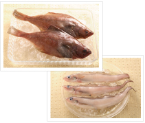 水魚・赤カレイ 水魚・赤カレイ
